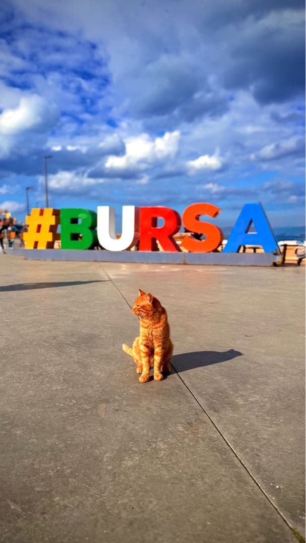 Mudanya Bursa