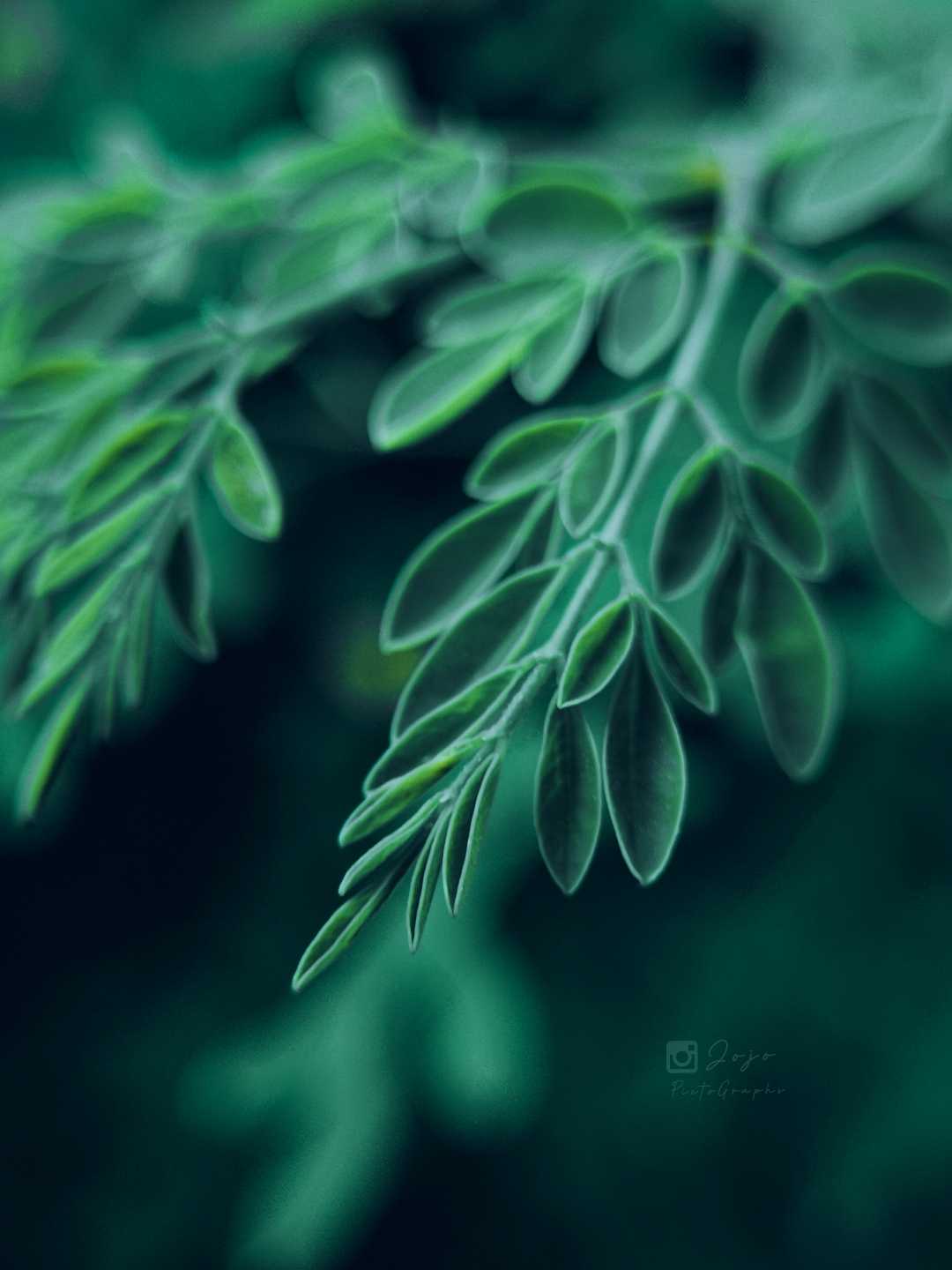 Beautiful Nature 