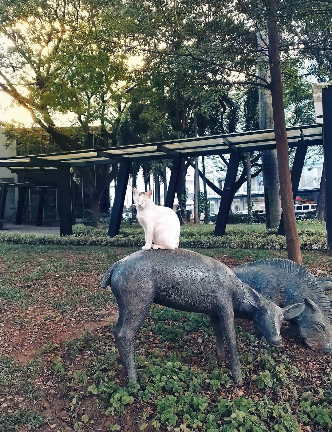 Hakuna matata