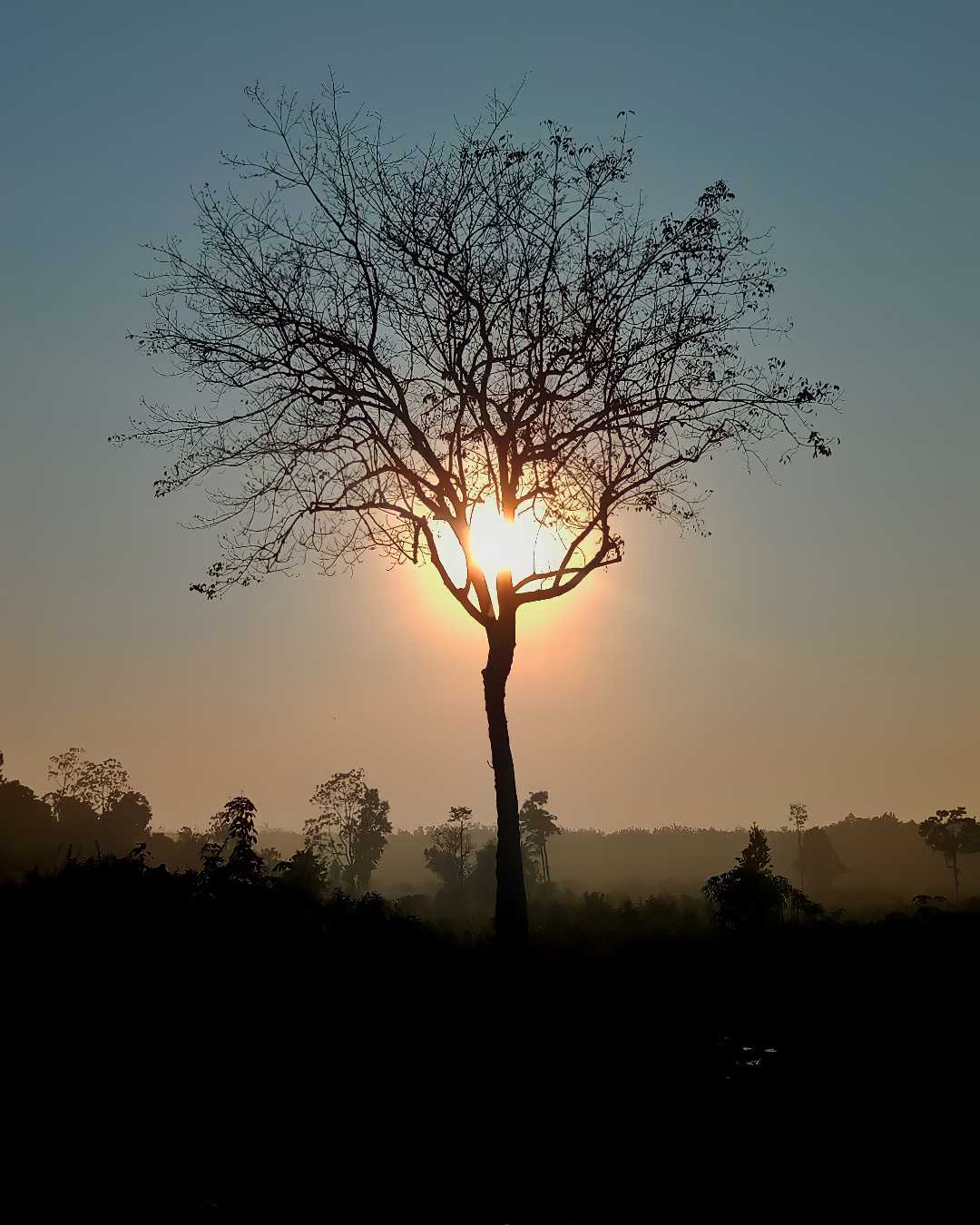 Sunrise