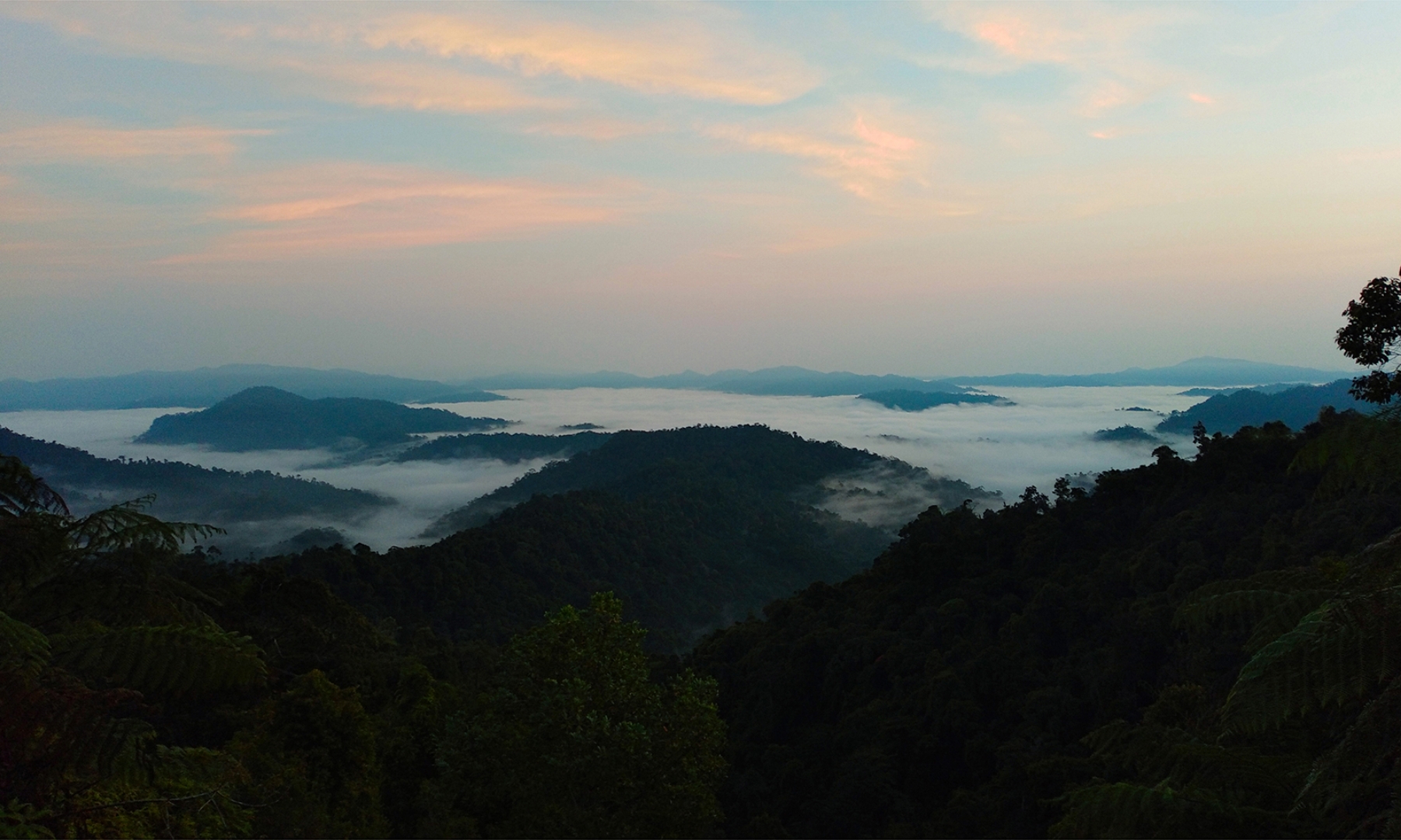 Stop and enjoy the view. 