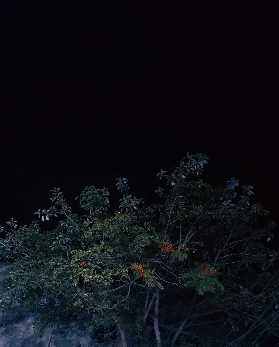 🖤