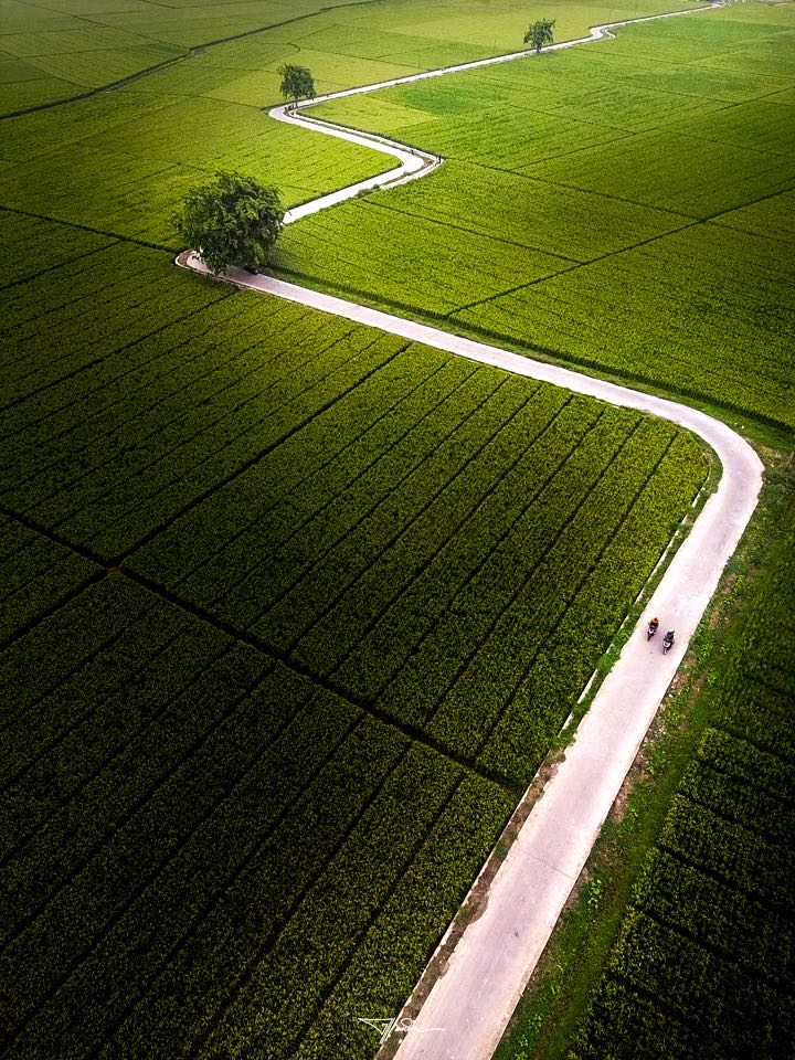 jalan berliku