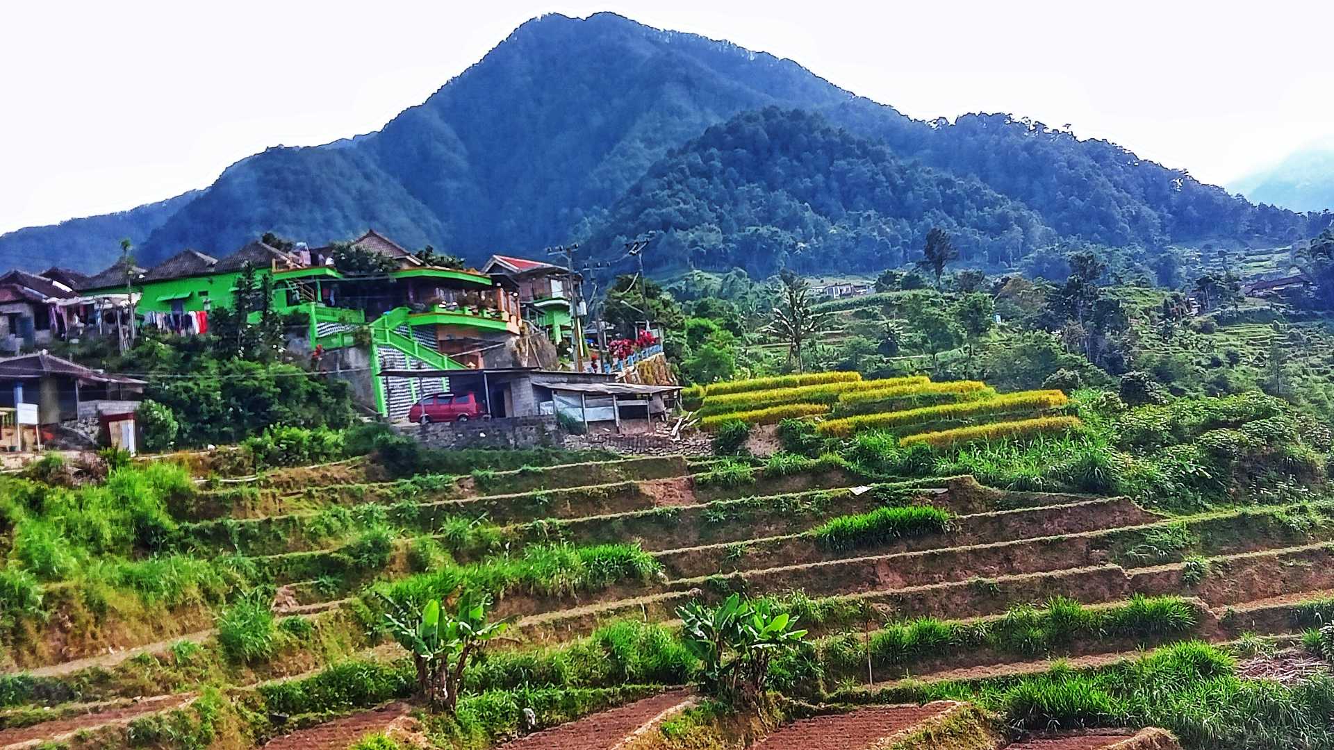 pemandangan di kaki gunung Lawu