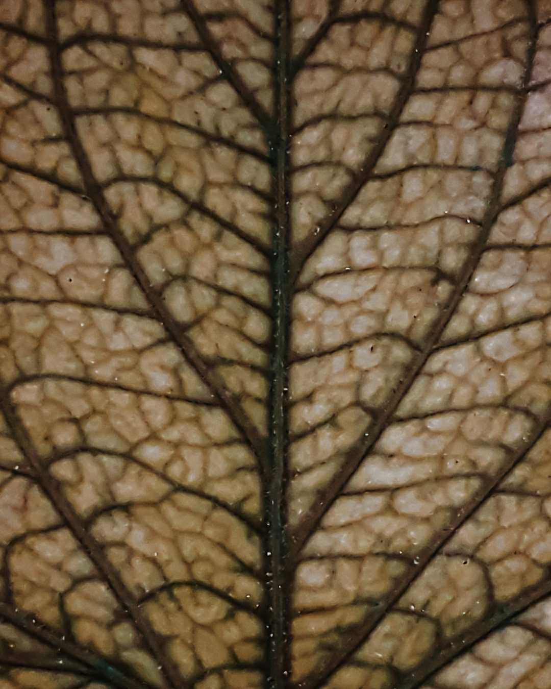 Details ❤️