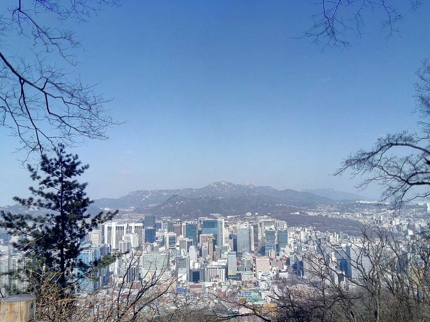 View from Namsan