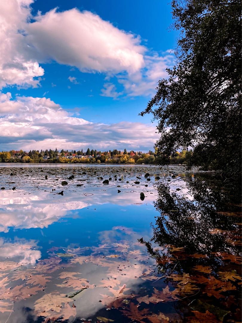 Green Lake, Seattle 📍