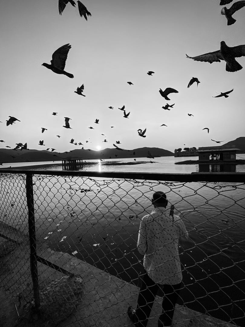 caged | Freedom 