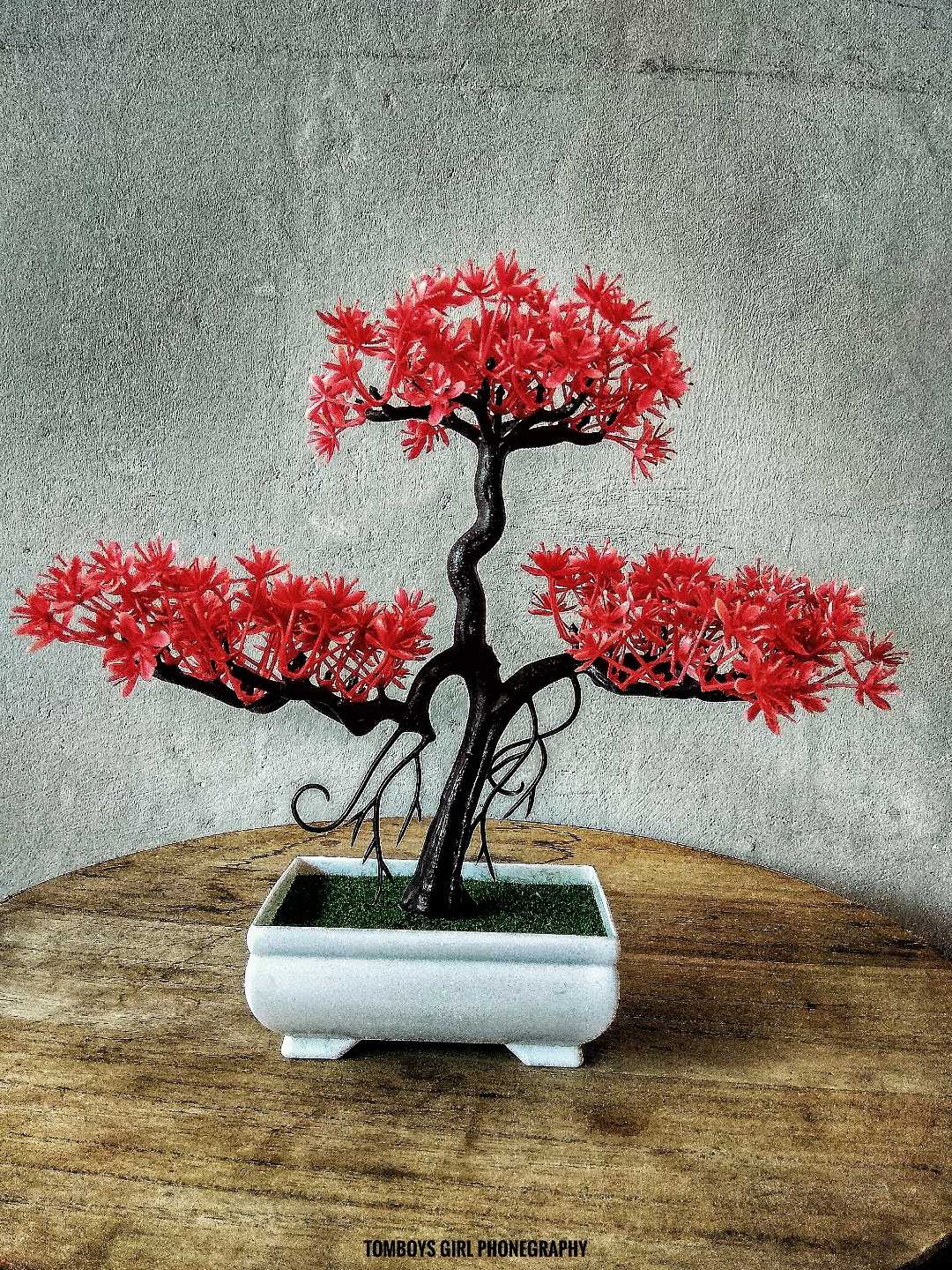 Sakura Plant Ornament 