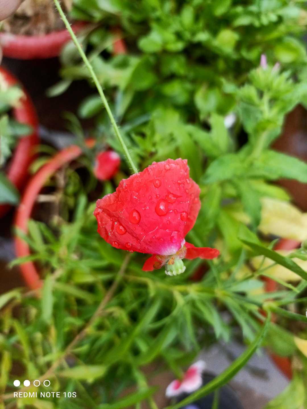love ❤