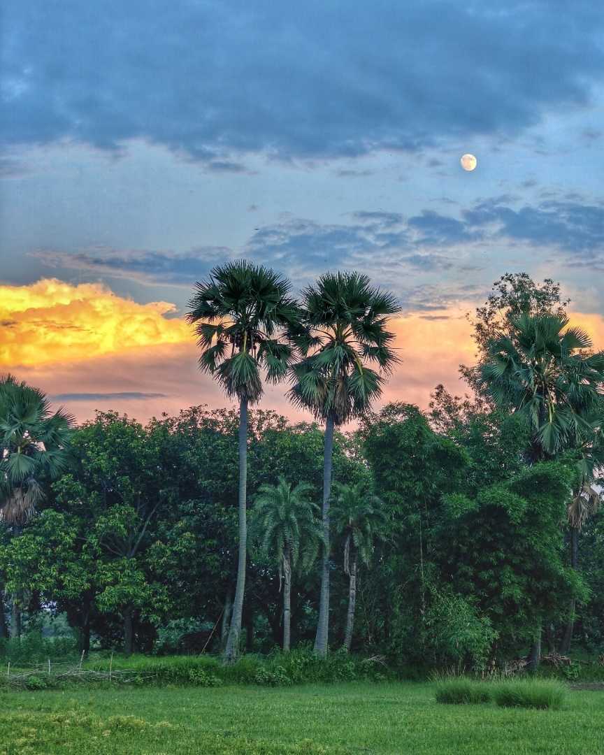 Nature's Painting