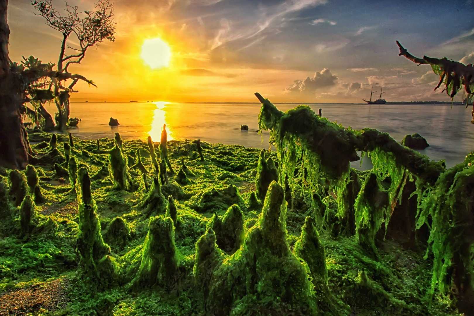 Fairytale Land