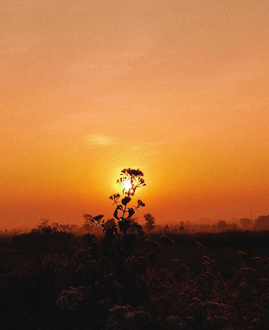 Winter's Sunshine 