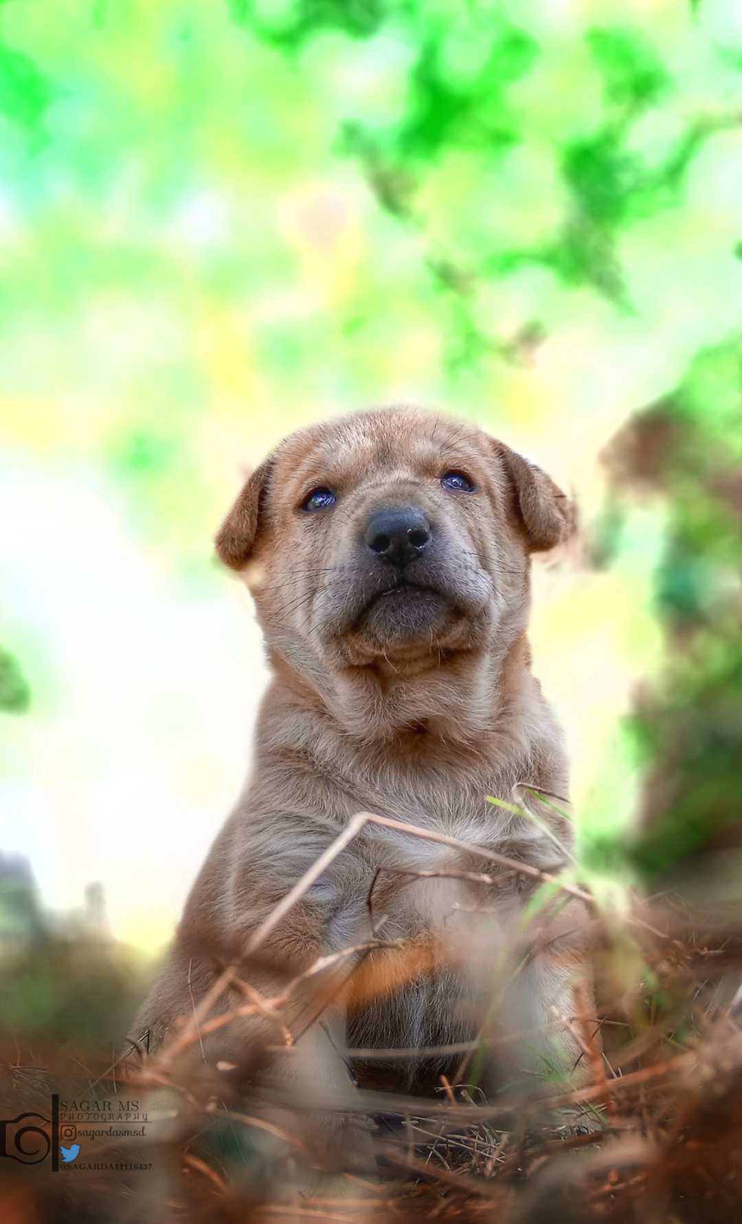 cute 🥰