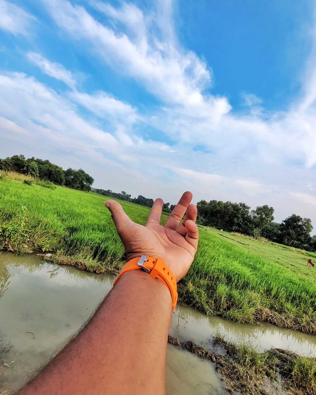 গ্রামের আকাশের নীচে