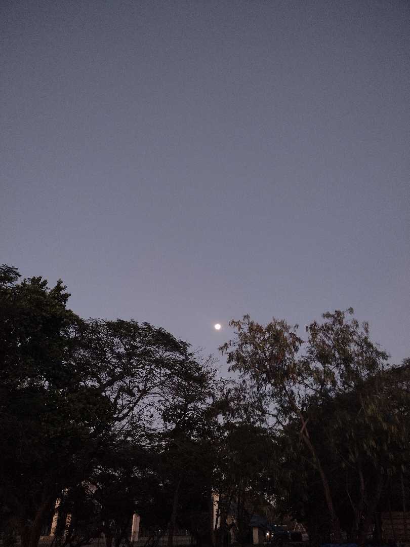 "Luna"