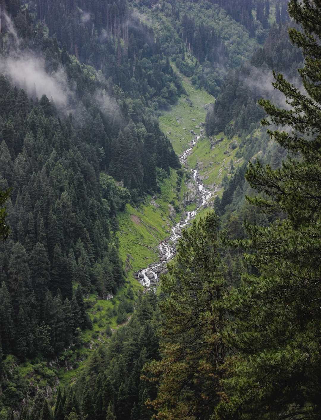 Lidderwat 