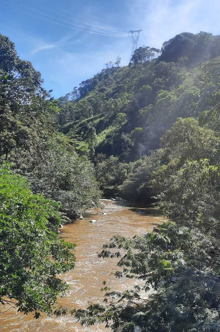 SAN CARLOS 🏞