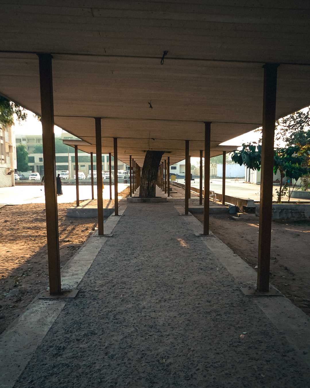 the walking path