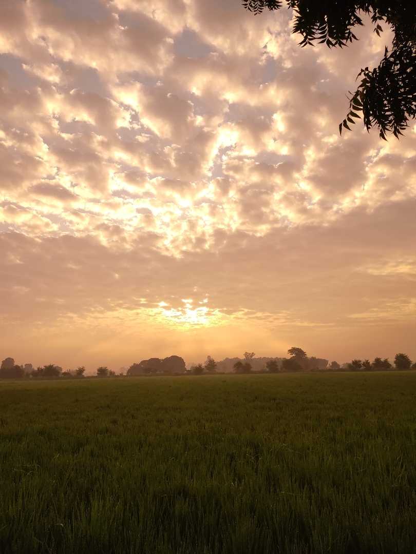 Good morning