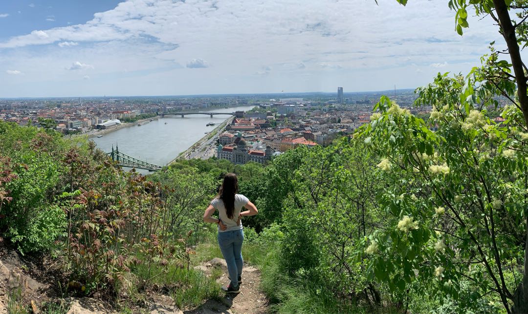 Beautiful view