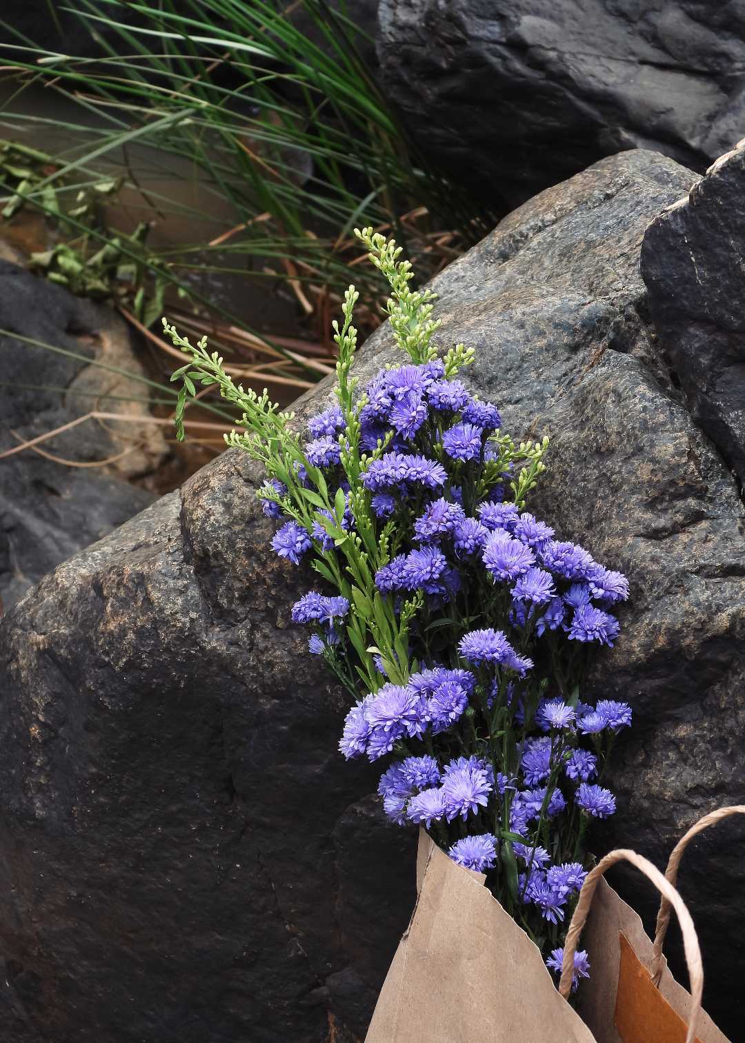 Let nature be your muse.