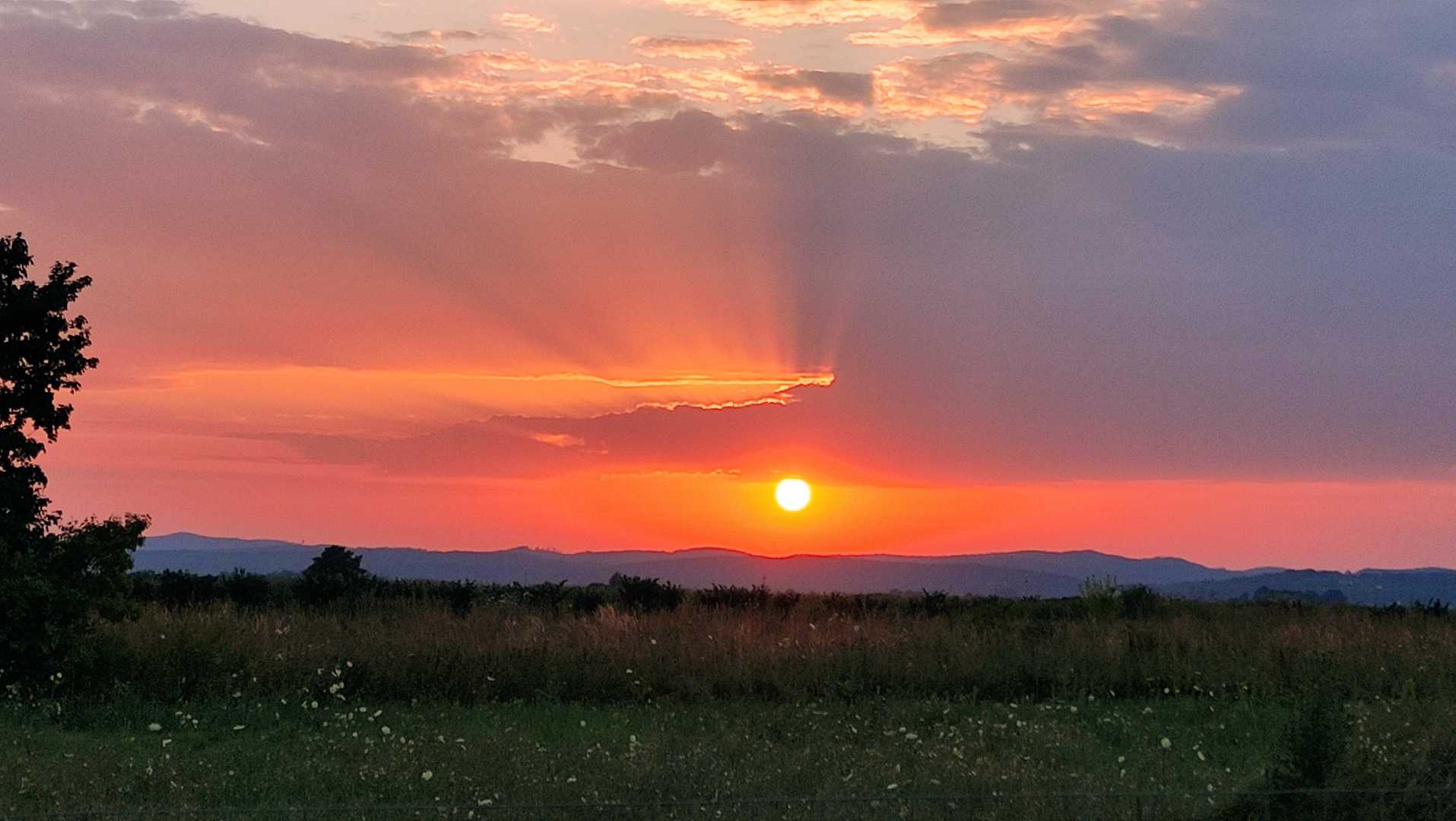 Sun rays