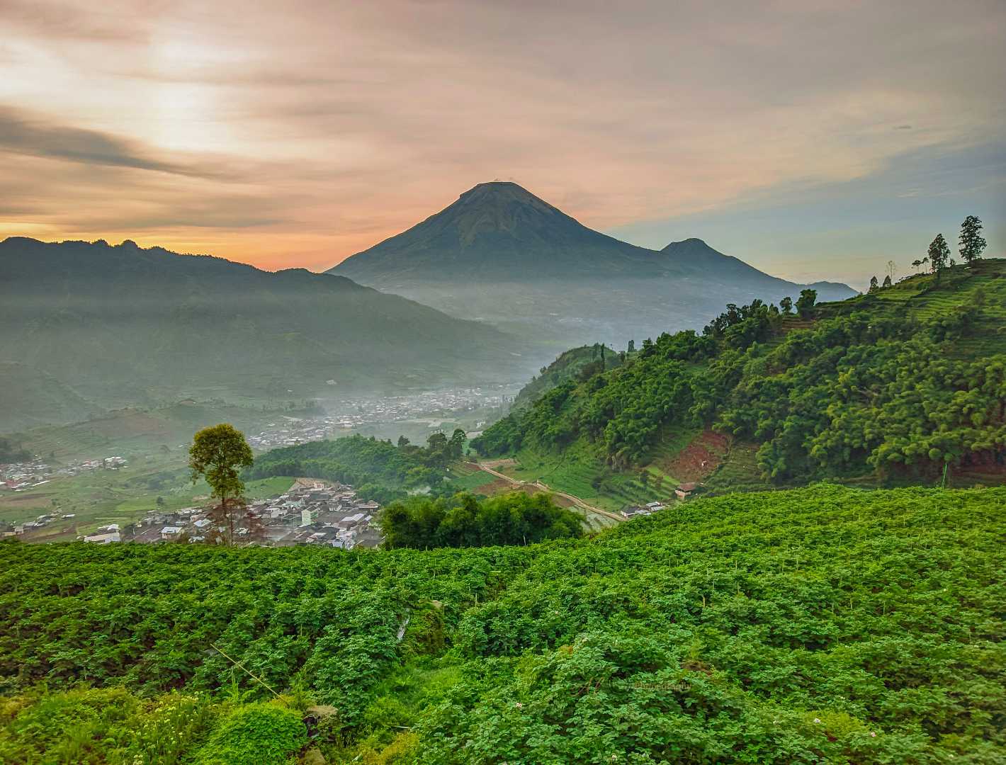 Gardu Pandang Tieng