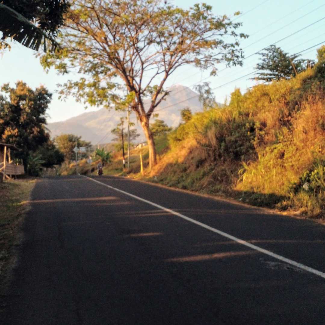 Jalan Raya Mojosari-Trawas