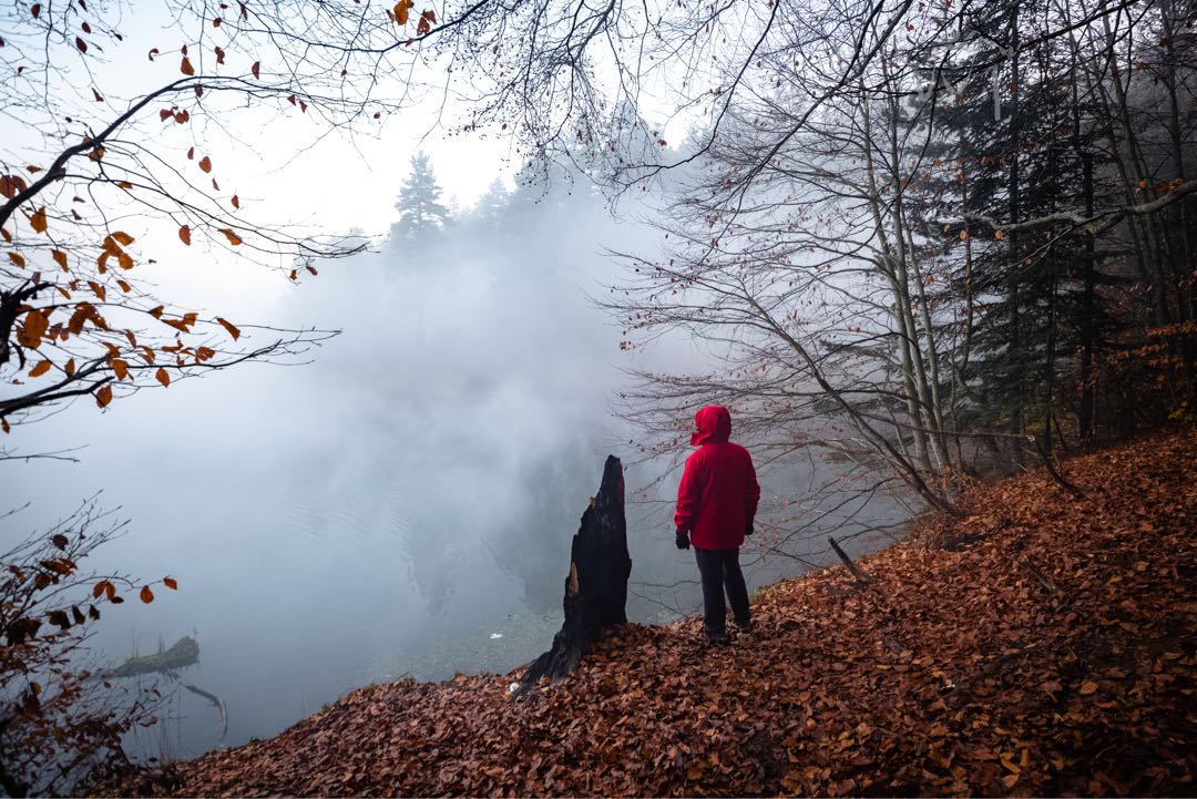 A Foggy Day