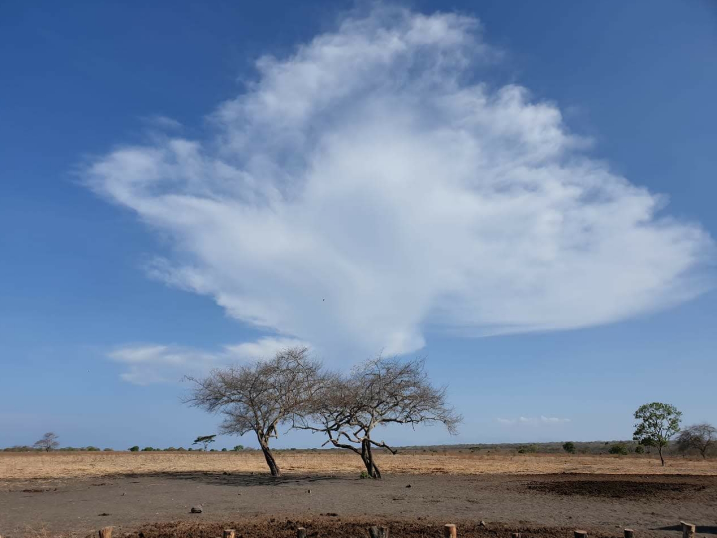 Baluran National Park 