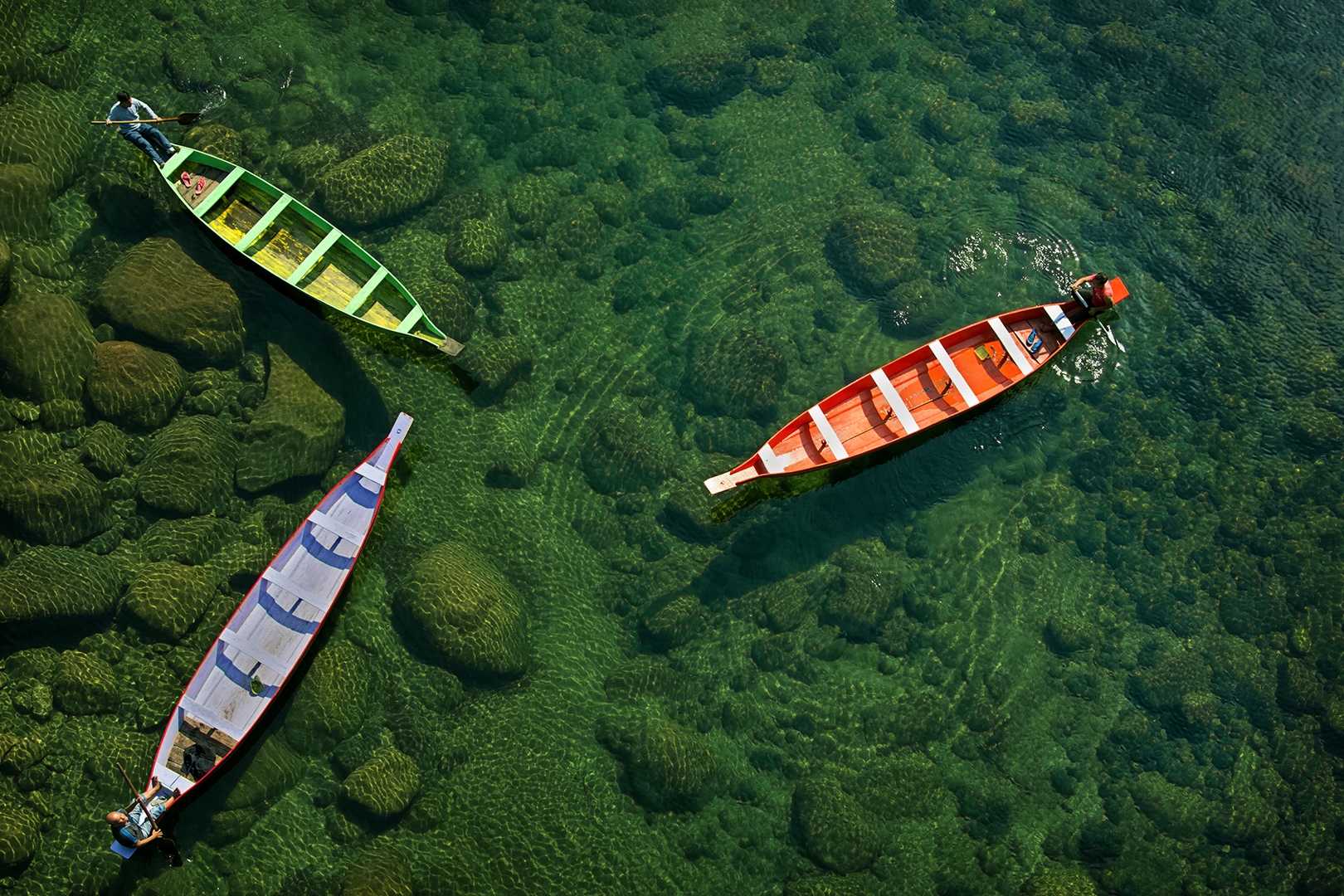 Tri Color Boats 