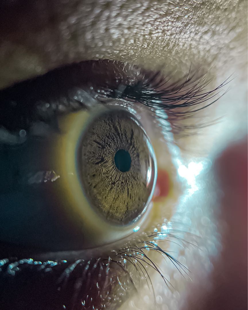 New year, new vision.