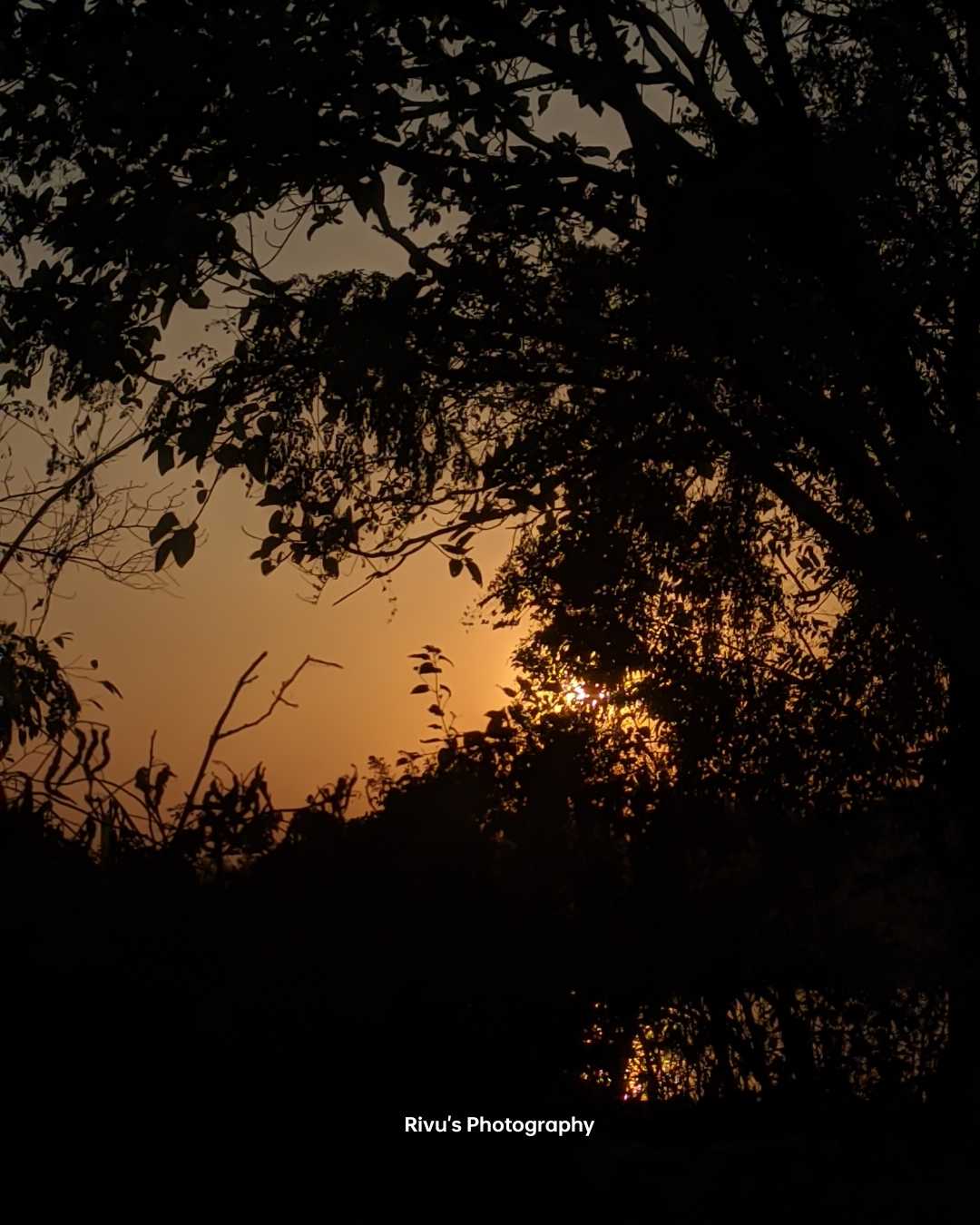 Golden Hour