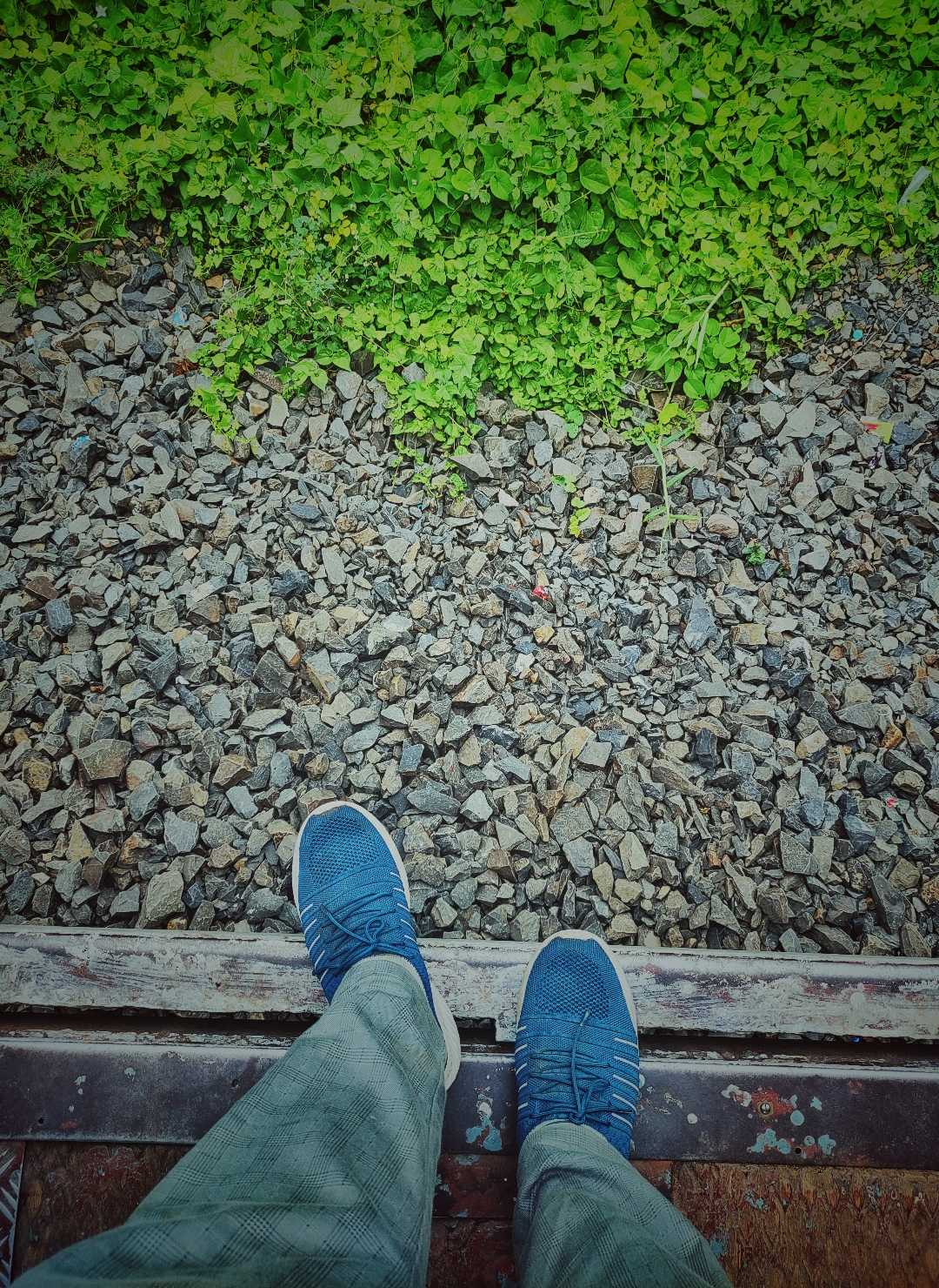 Many times the wrong train took me to the right place🌻
