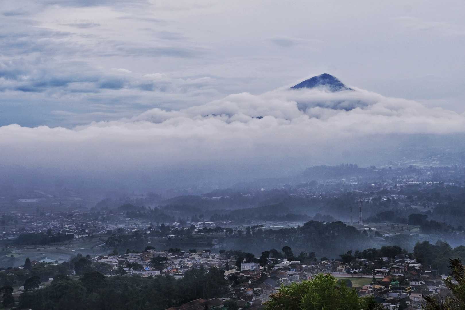 Morning Glory from Lembang