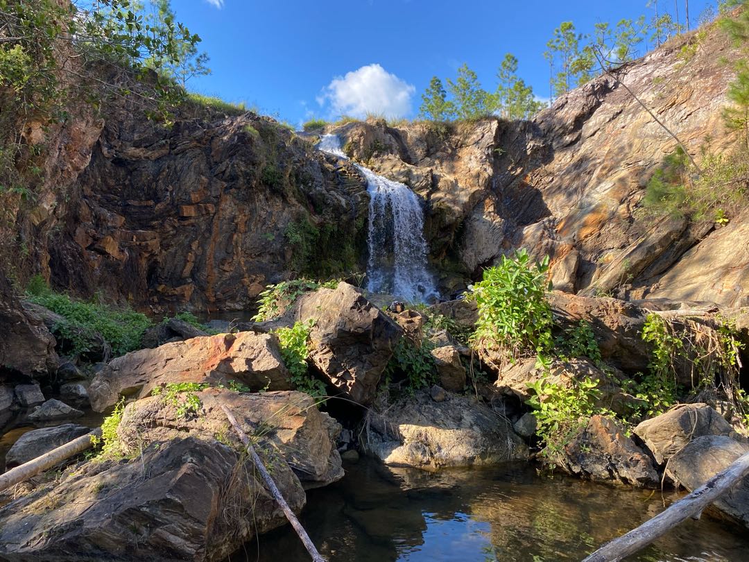 pinar del río , las catalinas , ramaviva 