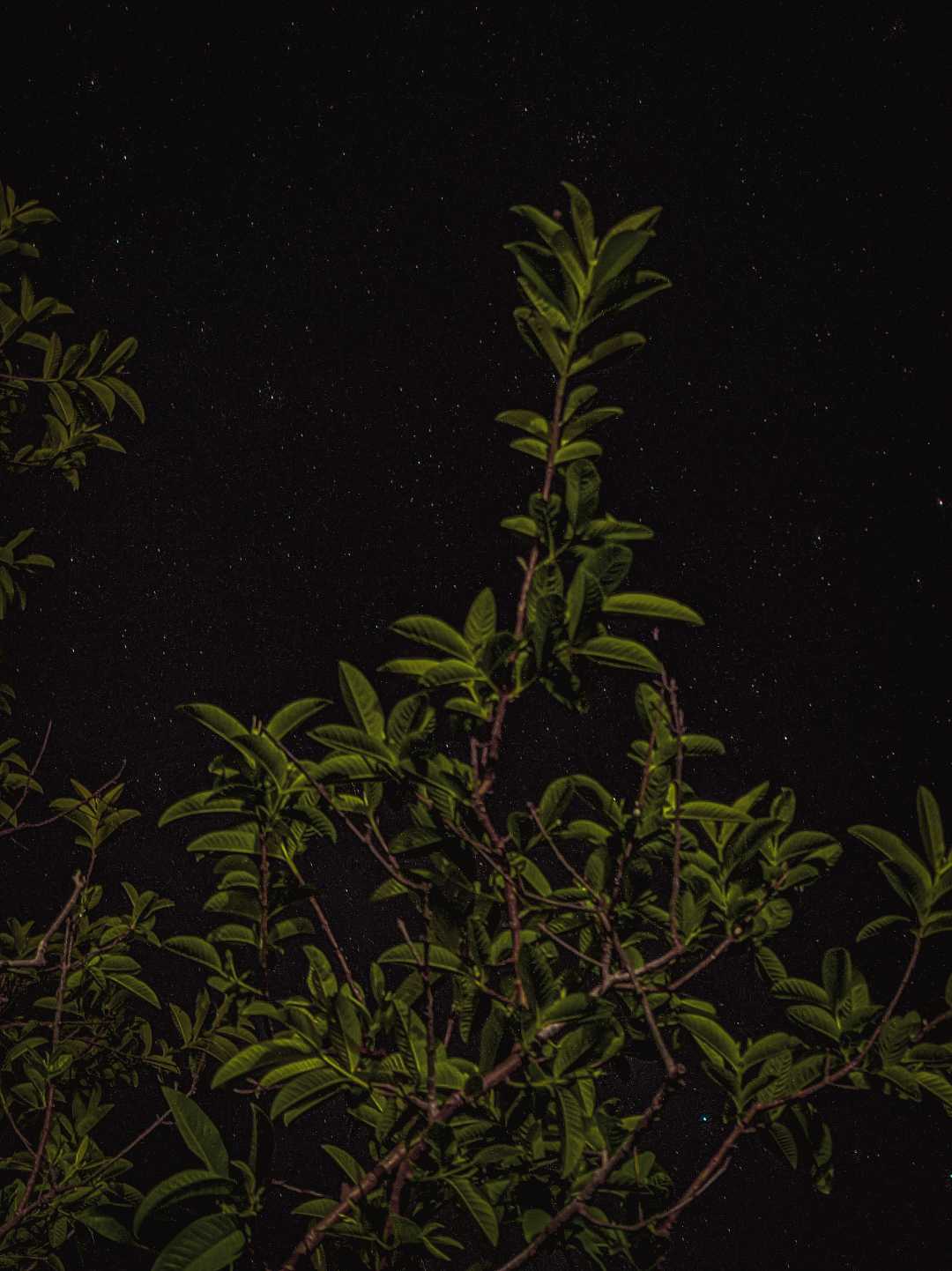 Night sky 