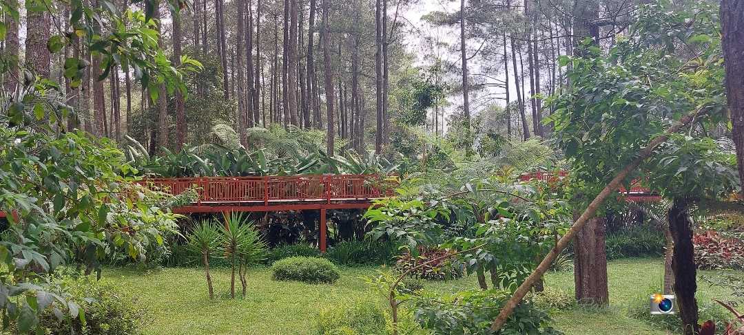 Area Outbond Orchid Forest Cikole