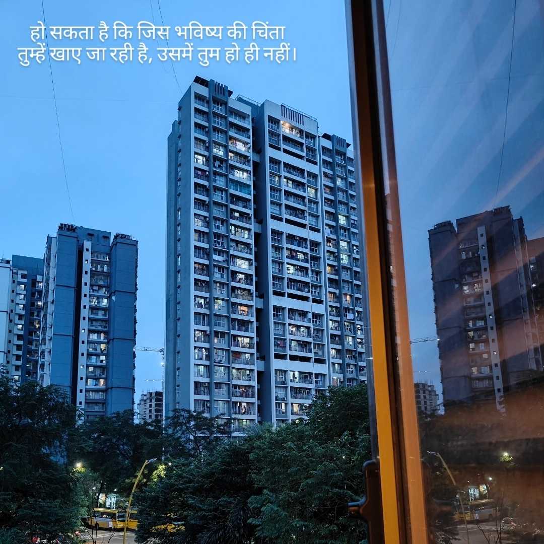 🫟🫟