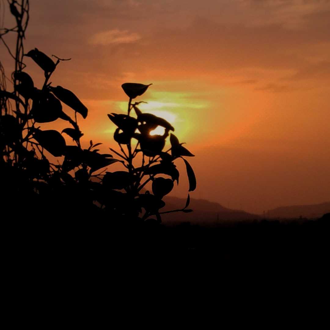 sunset🌅