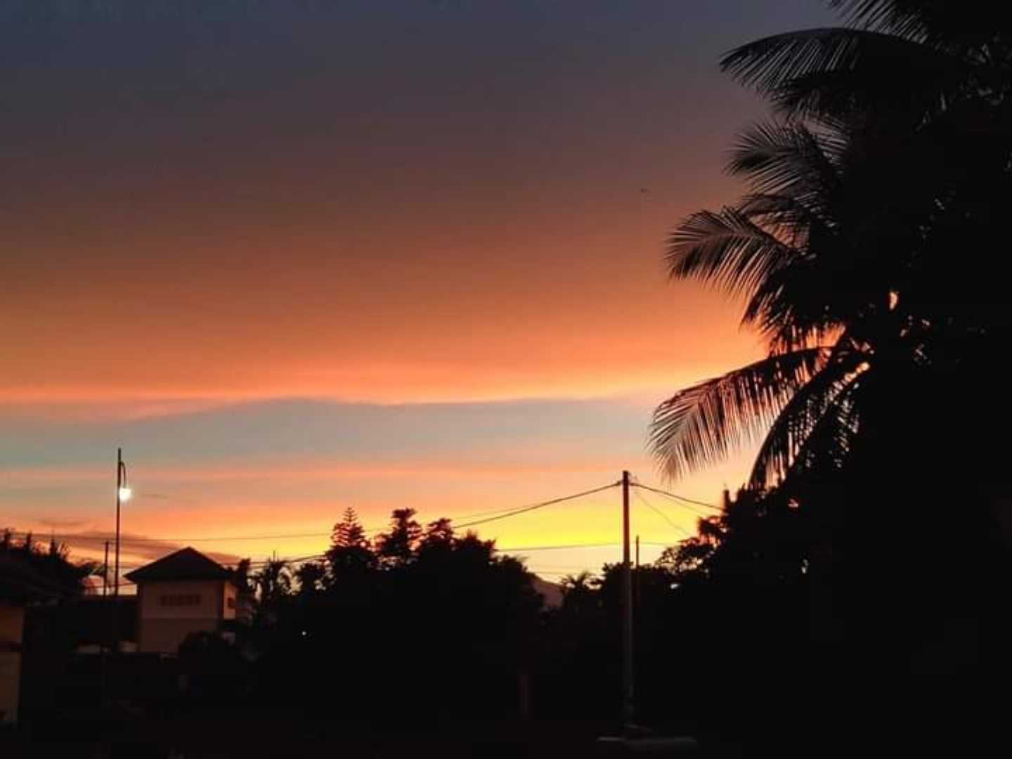 Senja