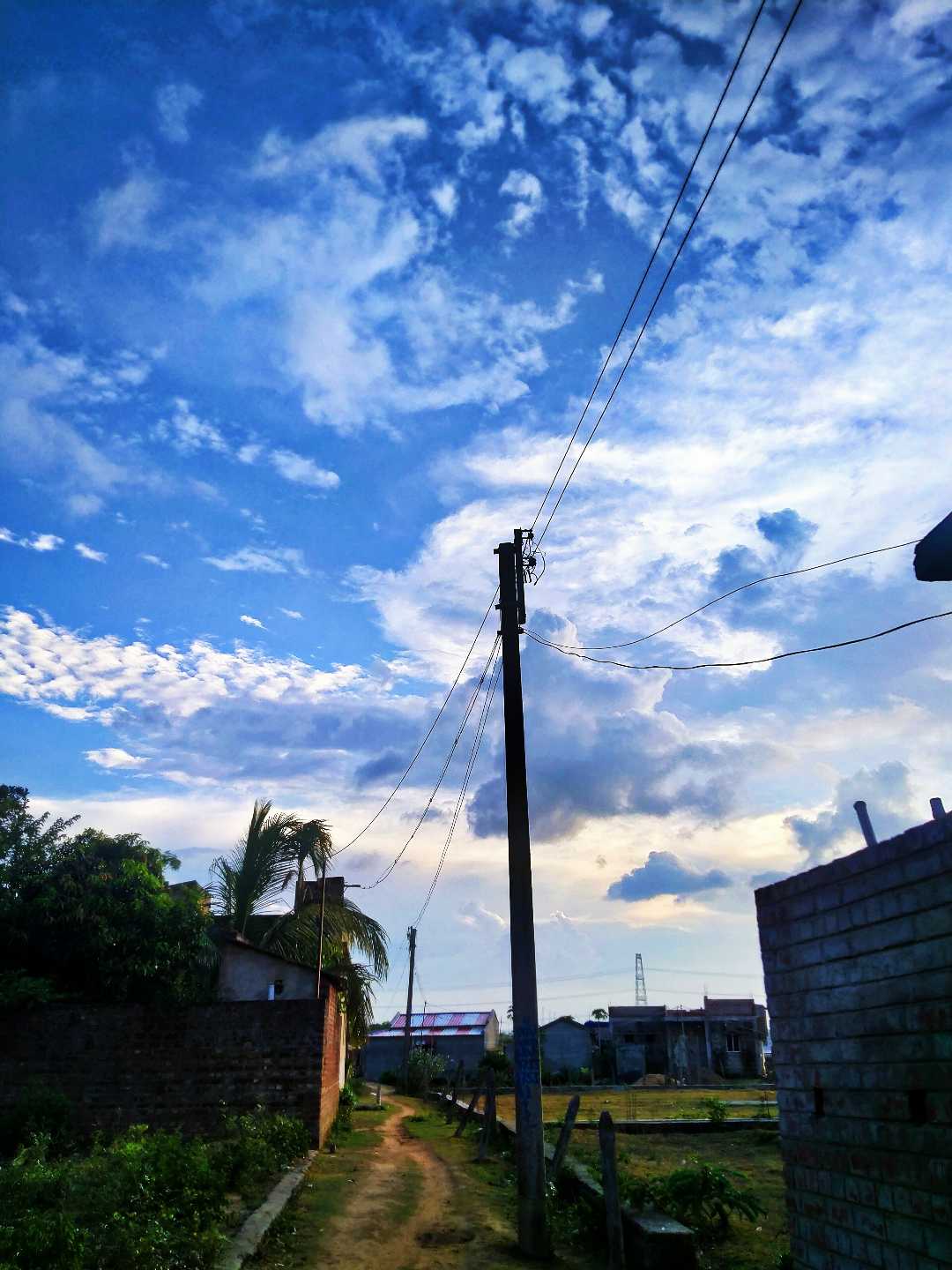 beauty of Nature 