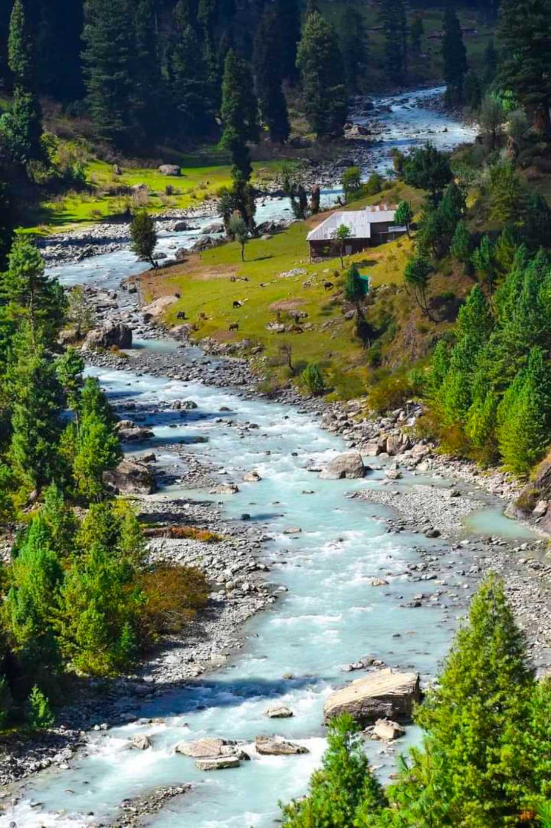 PAHALGAM 📍