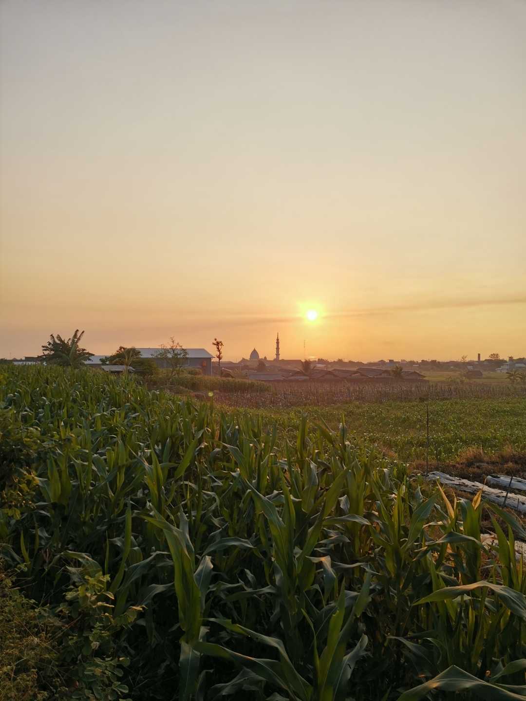 pagi yang berkabut