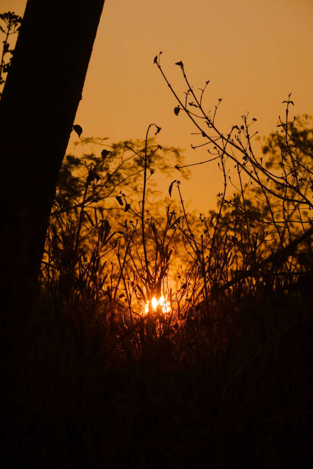 Sunrise at ARAI