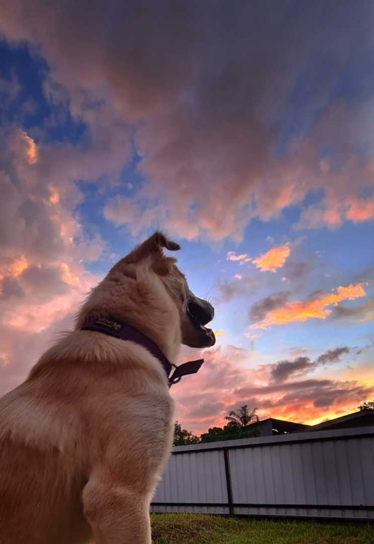 sunset lover
