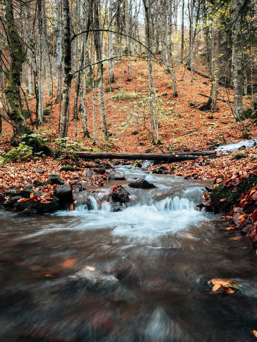 Yedigöller National Park, Bolu