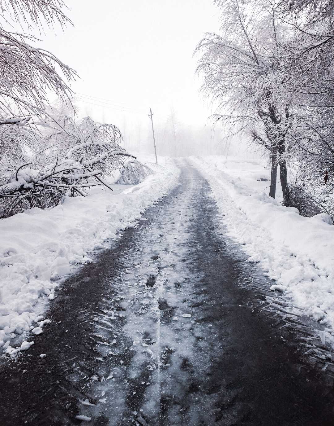 kashmir