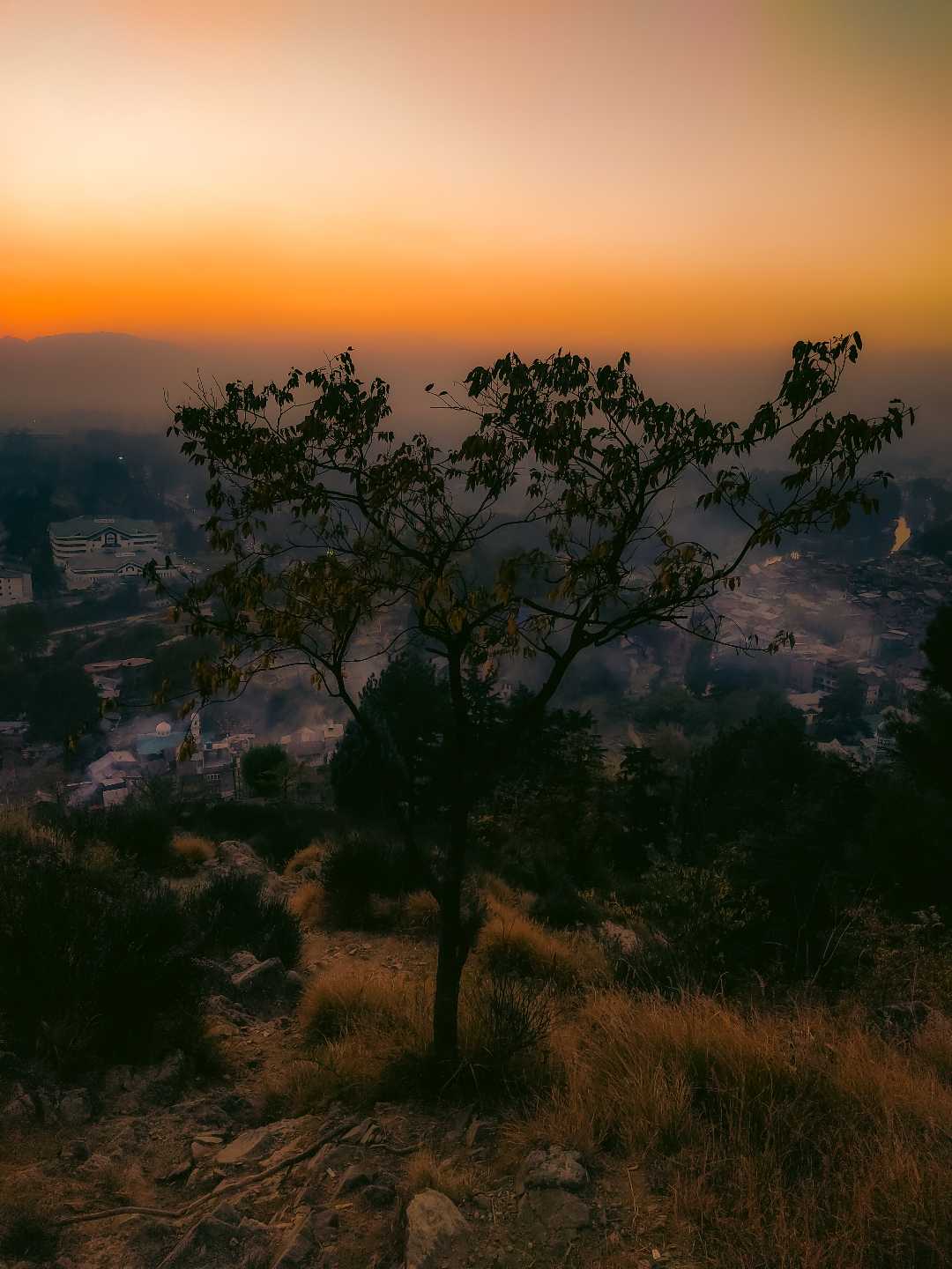 beautiful sunset 